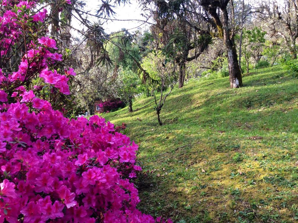 Sitio Nossa Senhora De Loreto Campos do Jordão Zewnętrze zdjęcie