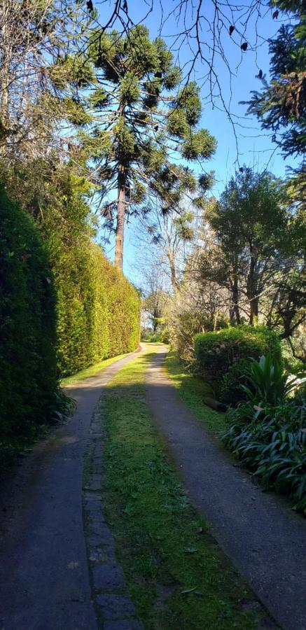 Sitio Nossa Senhora De Loreto Campos do Jordão Zewnętrze zdjęcie
