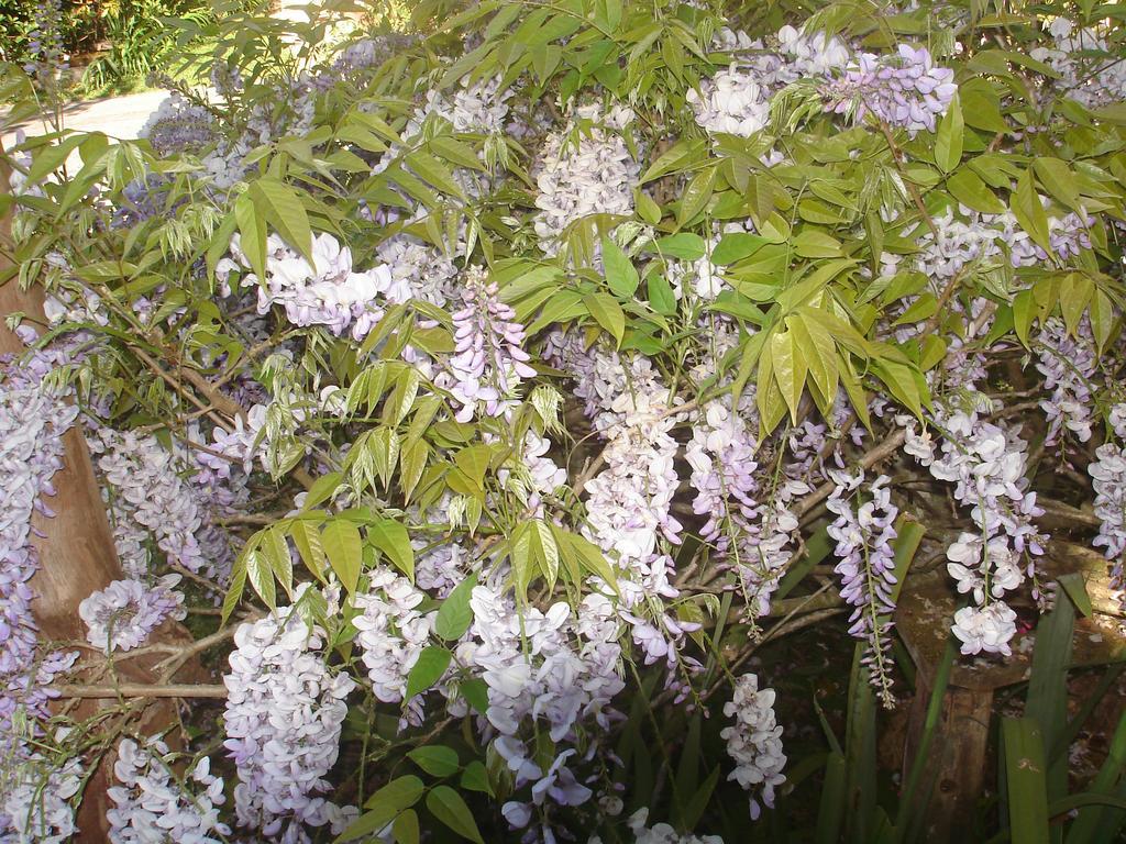 Sitio Nossa Senhora De Loreto Campos do Jordão Zewnętrze zdjęcie
